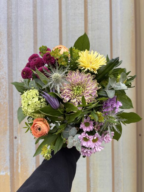 56cb72fe-e111-49ca-97eb-de4b2a8223a6