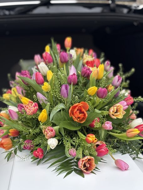 f7a9aa88-3134-4942-9b1d-abf86749a42a